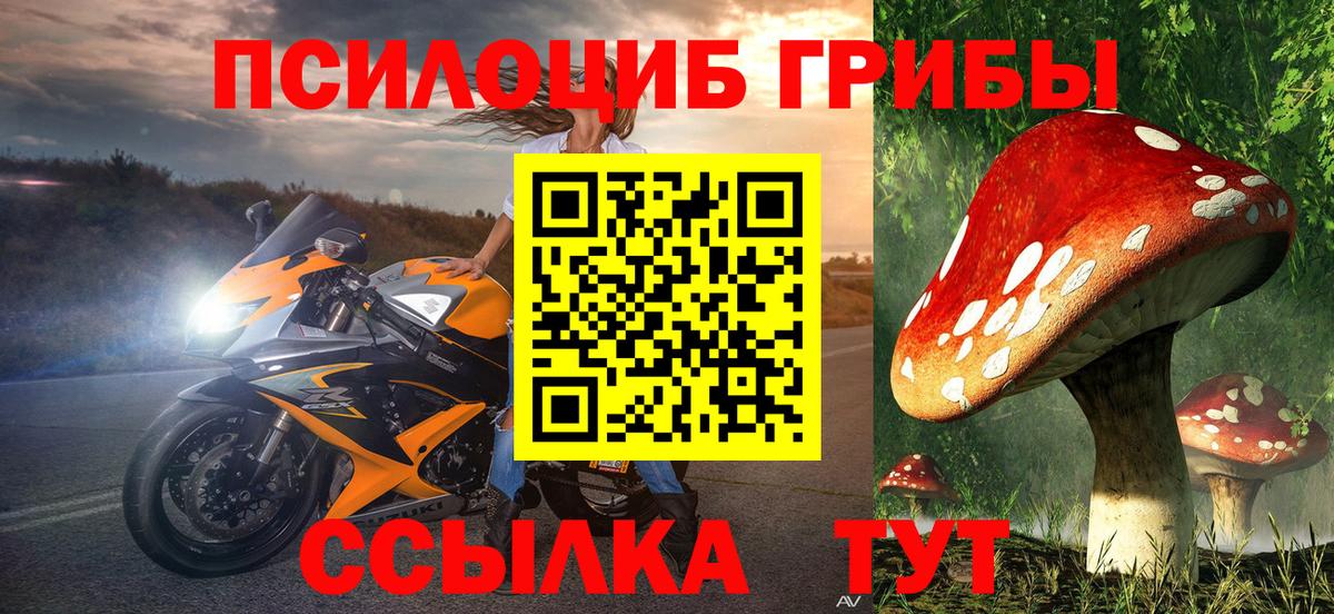 Кинешма  Псилоцибиновые грибы Cubensis  Вход с VPN 
